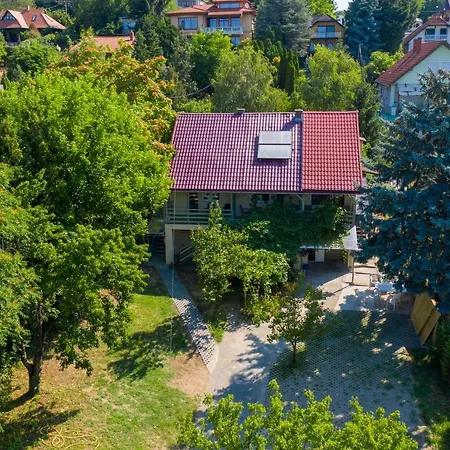 Apartman King Kong Kapitany Vendeghaz