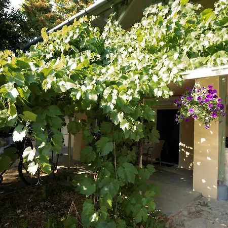 شقة King Kong Kapitany Vendeghaz Fonyód