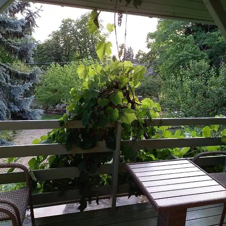 King Kong Kapitany Vendeghaz Fonyod