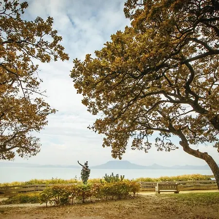 King Kong Kapitany Vendeghaz