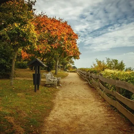 King Kong Kapitany Vendeghaz Fonyód