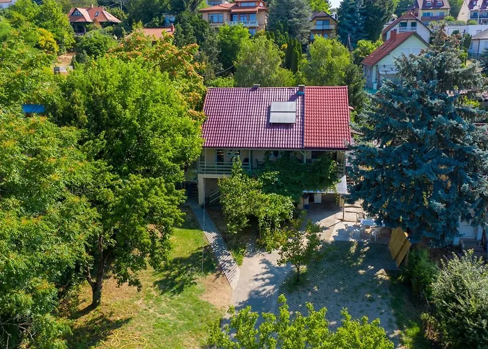 Appartement King Kong Kapitany Vendeghaz