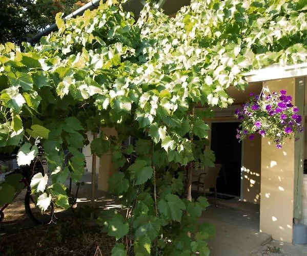 Appartement King Kong Kapitany Vendeghaz Fonyód