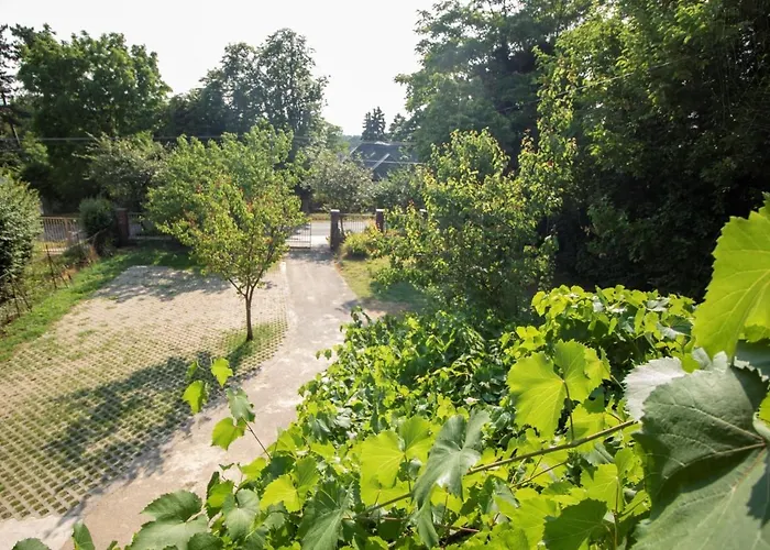 King Kong Kapitany Vendeghaz *