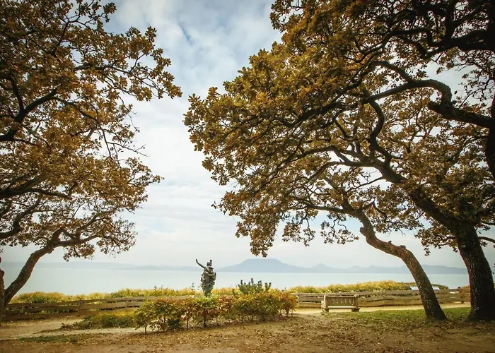 King Kong Kapitany Vendeghaz