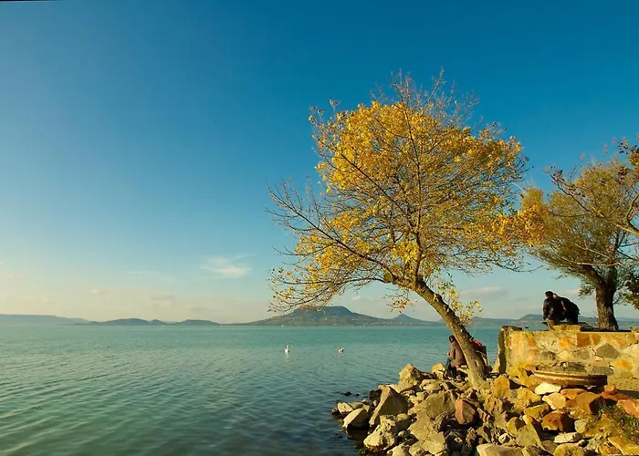 King Kong Kapitany Vendeghaz *