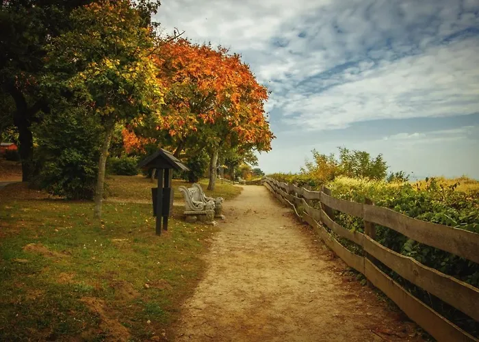 King Kong Kapitany Vendeghaz Fonyód