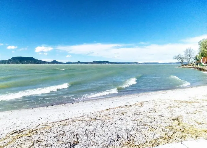 King Kong Kapitany Vendeghaz