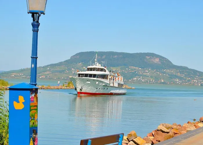 King Kong Kapitany Vendeghaz